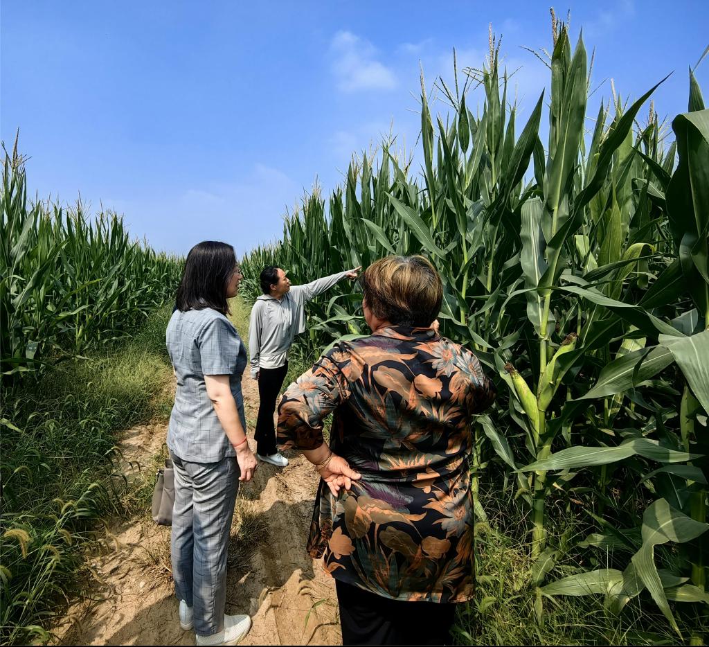 京东影业影视传媒