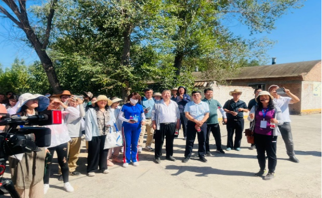 京东影业影视传媒