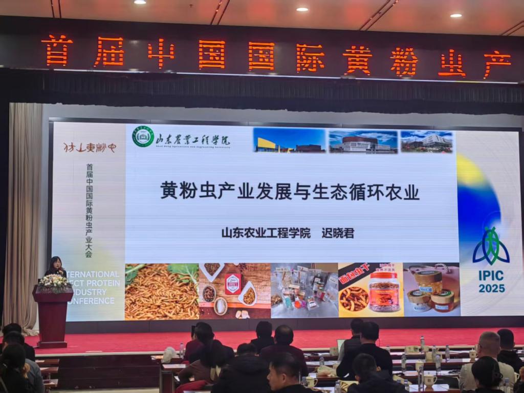 京东影业影视传媒