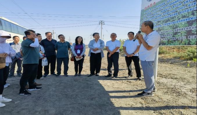 京东影业影视传媒