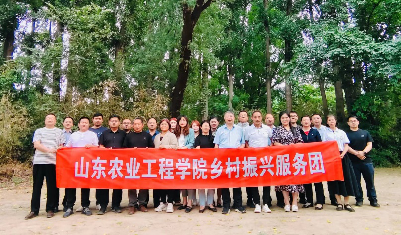 京东影业影视传媒