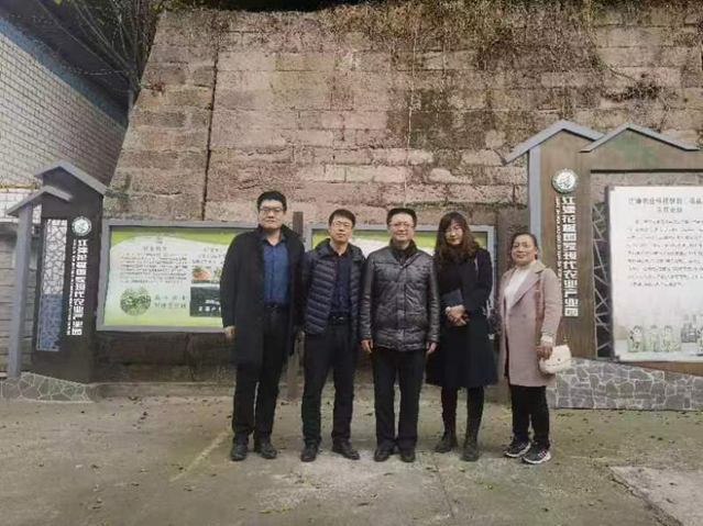 京东影业影视传媒