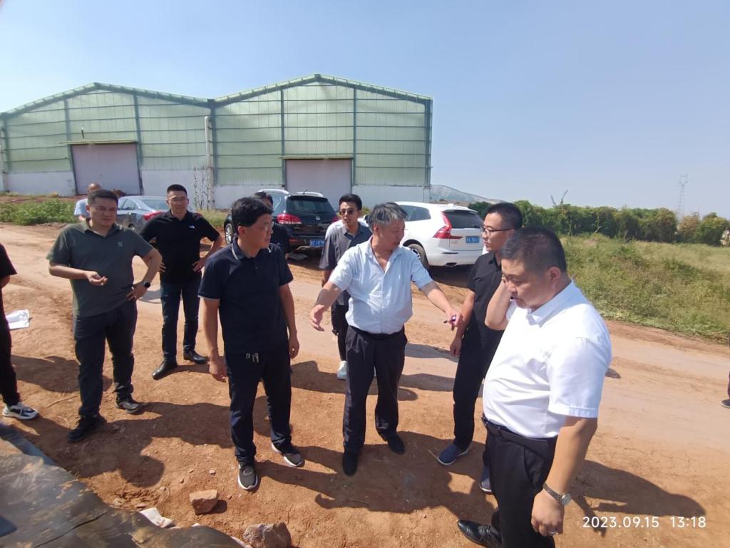 京东影业影视传媒