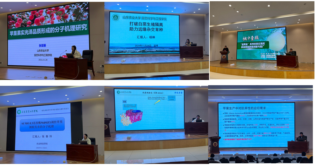 京东影业影视传媒