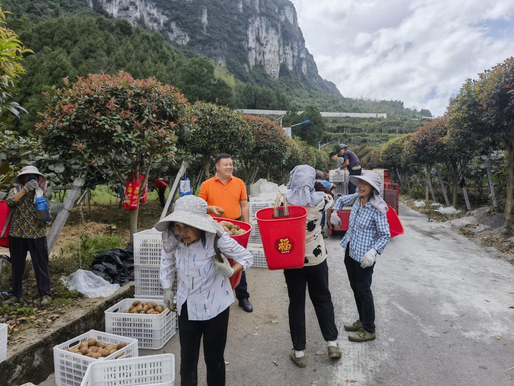 京东影业影视传媒