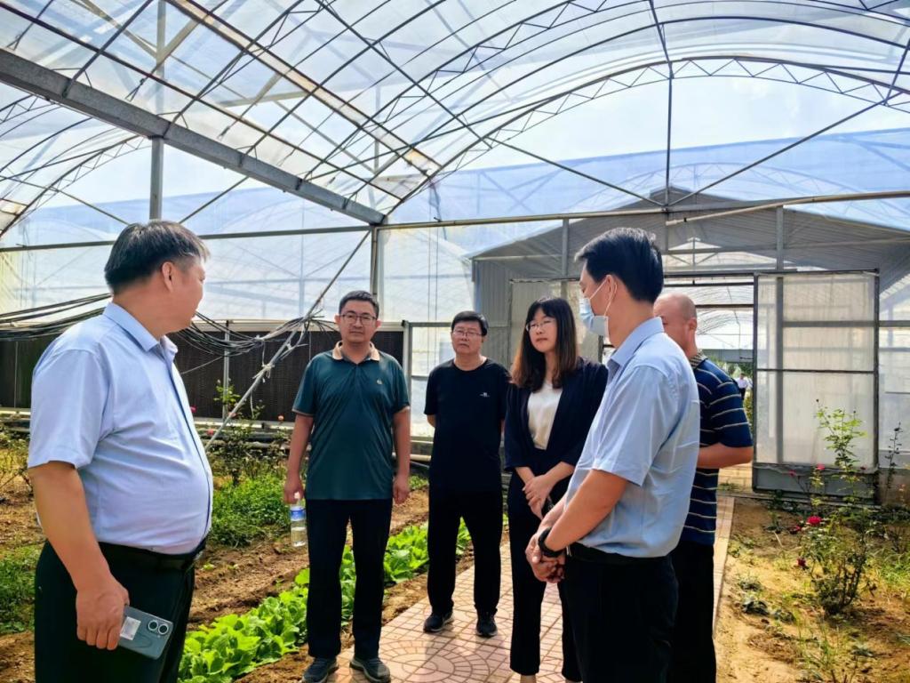 京东影业影视传媒