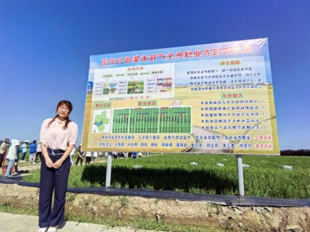 京东影业影视传媒