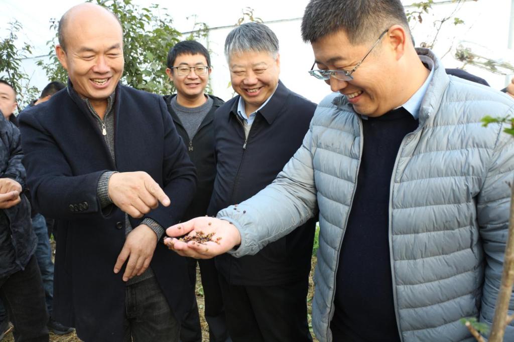 京东影业影视传媒