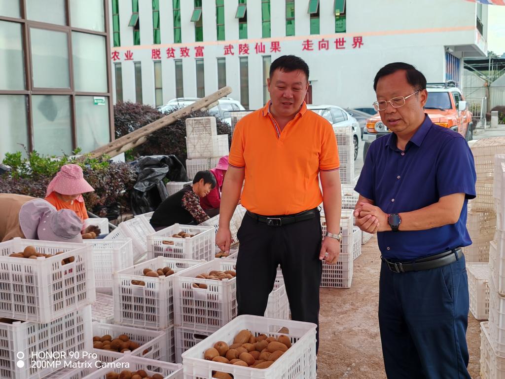 京东影业影视传媒