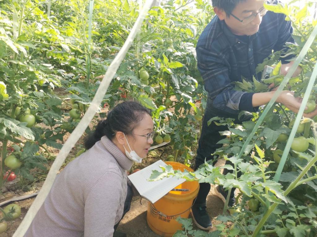 京东影业影视传媒