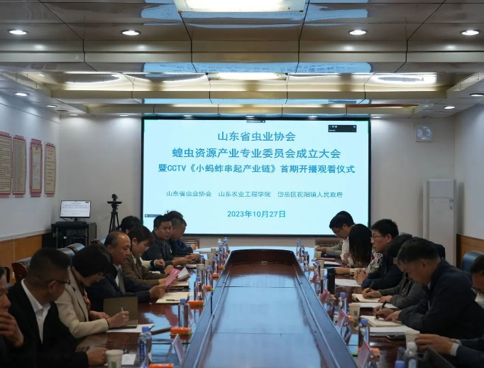 京东影业影视传媒