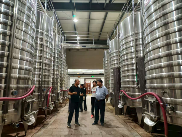 京东影业影视传媒