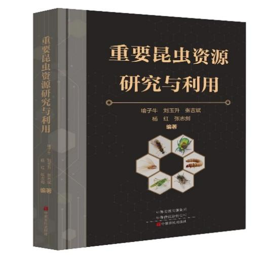 京东影业影视传媒