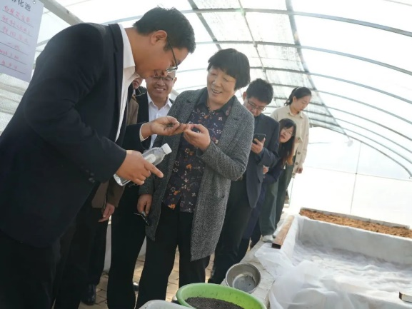 京东影业影视传媒