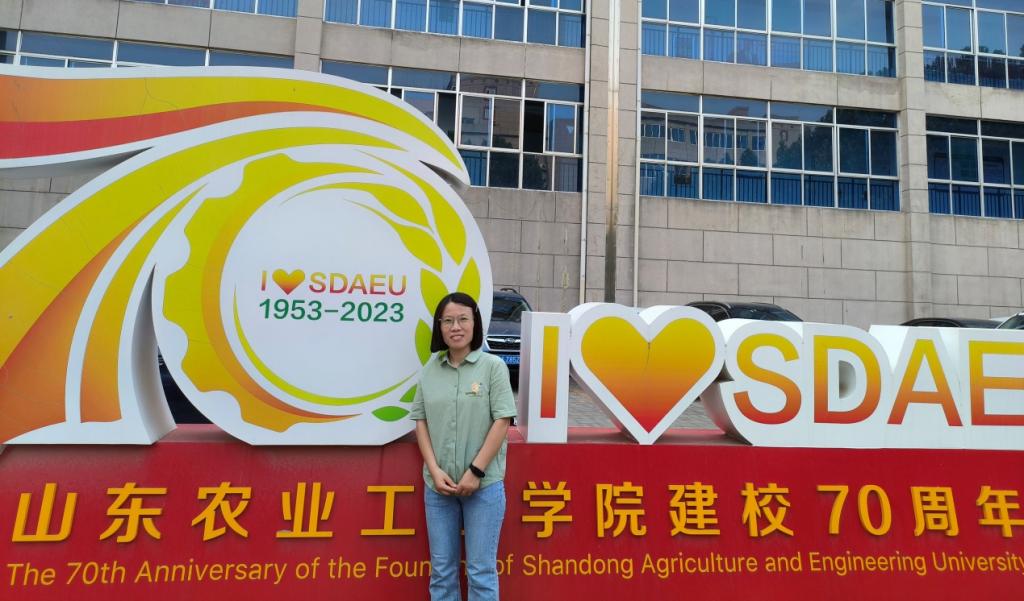 京东影业影视传媒