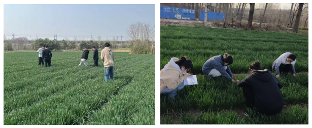 京东影业影视传媒