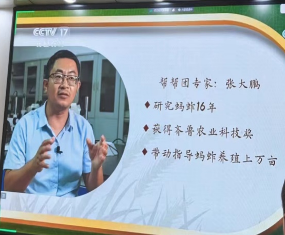 京东影业影视传媒