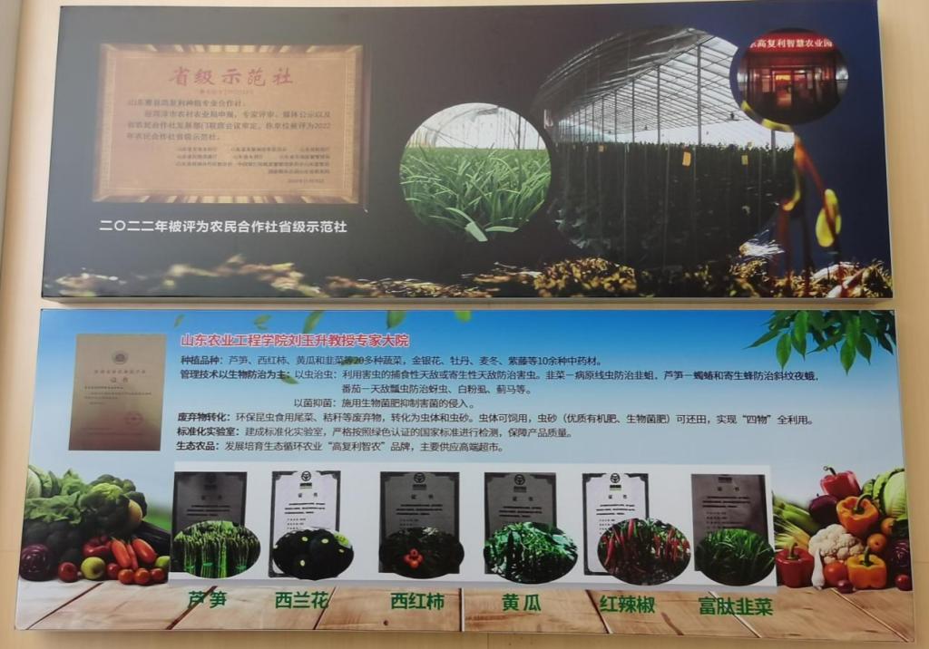 京东影业影视传媒