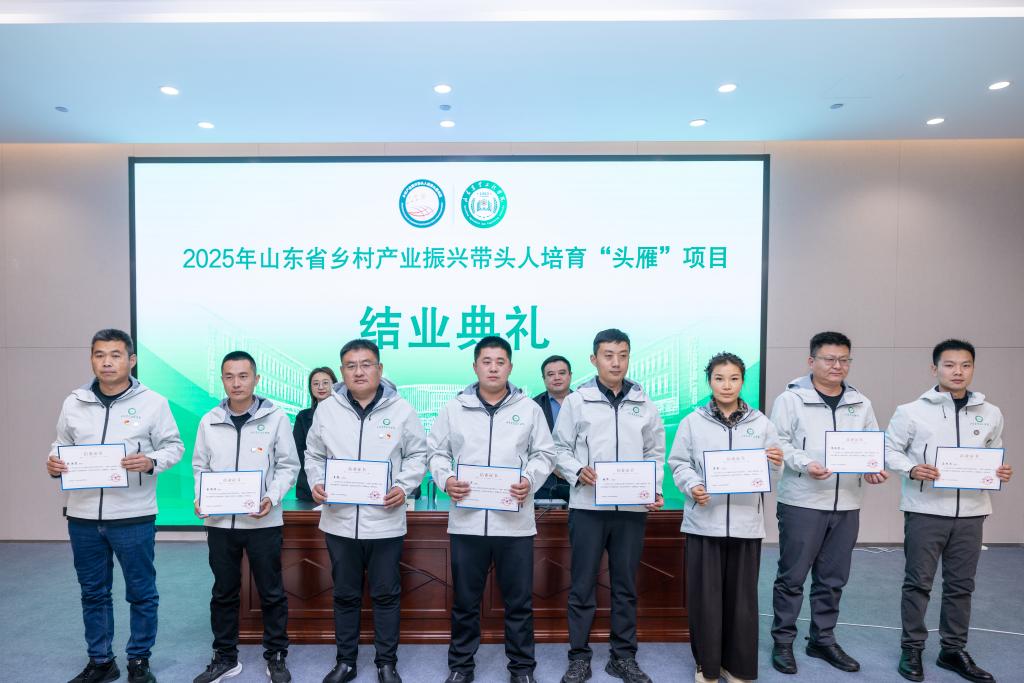 京东影业影视传媒