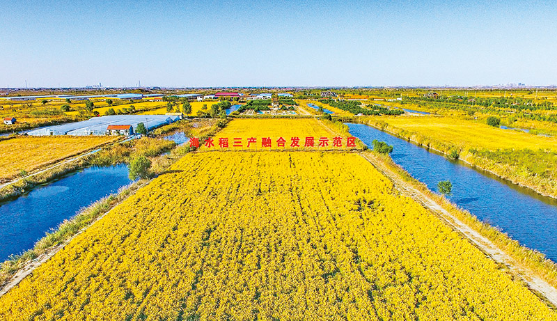 京东影业影视传媒