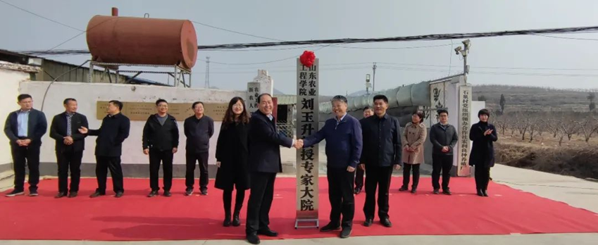 京东影业影视传媒