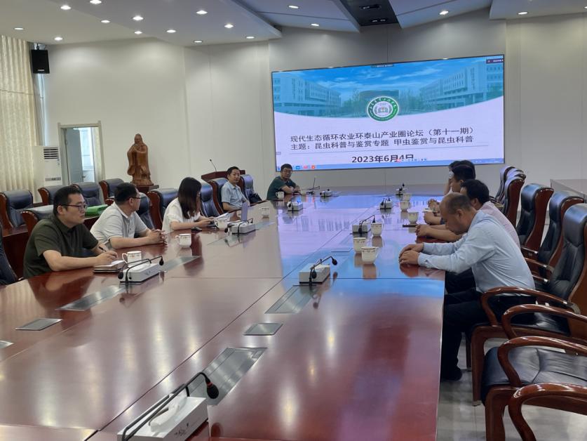 京东影业影视传媒