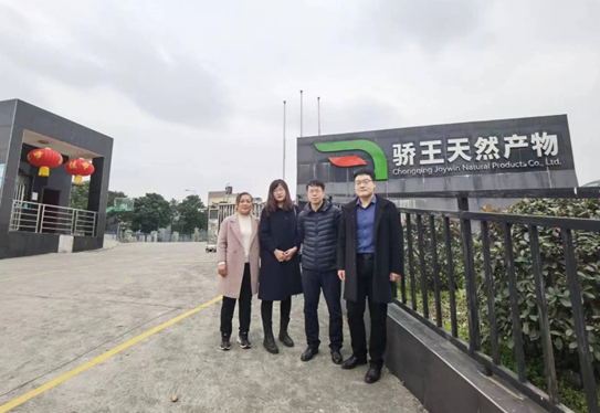 京东影业影视传媒