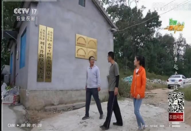 京东影业影视传媒