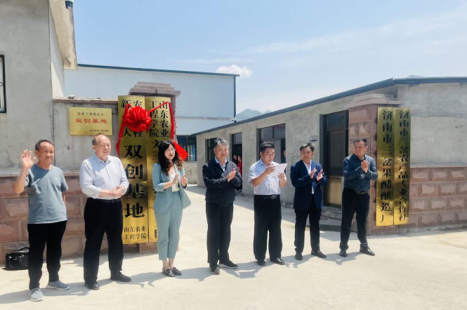 京东影业影视传媒