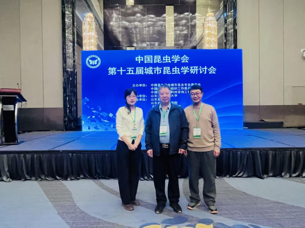 京东影业影视传媒