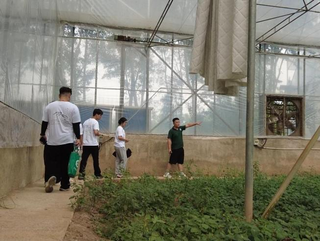 京东影业影视传媒