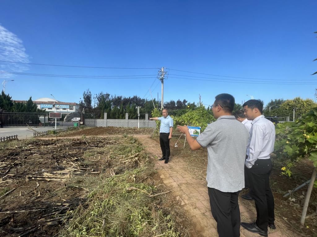 京东影业影视传媒