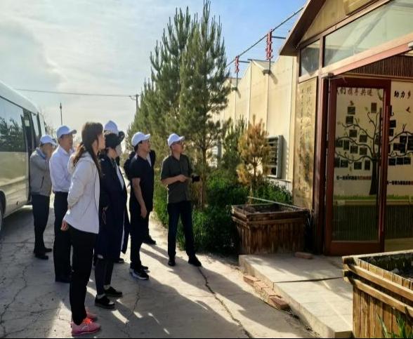 京东影业影视传媒