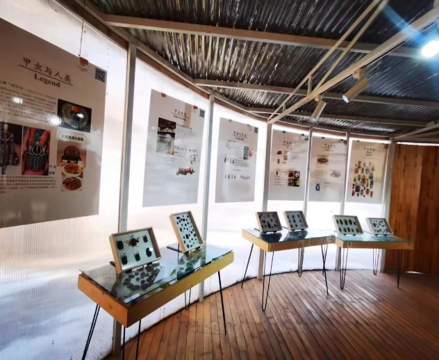 京东影业影视传媒