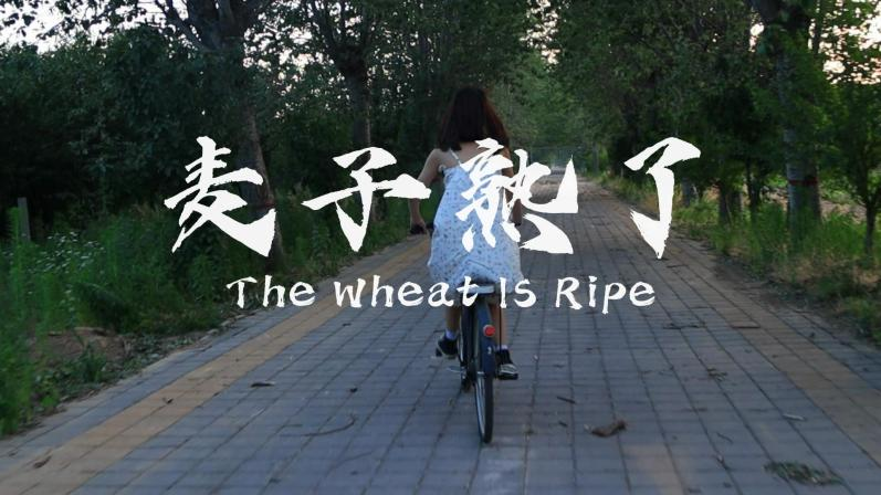 京东影业影视传媒