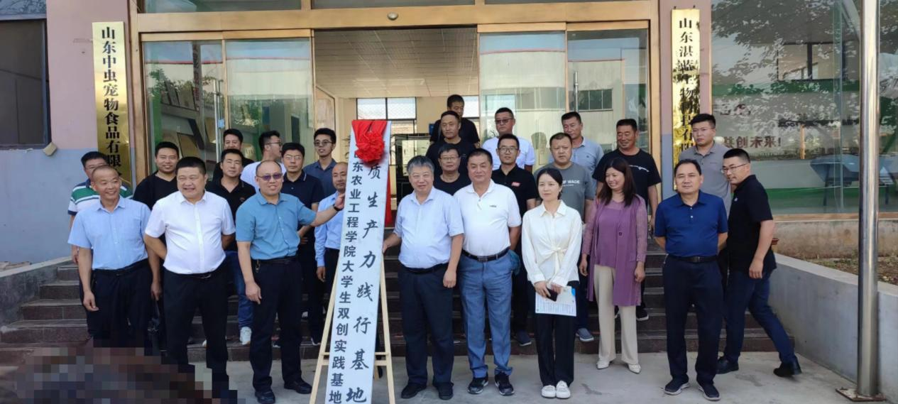 京东影业影视传媒