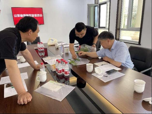 京东影业影视传媒