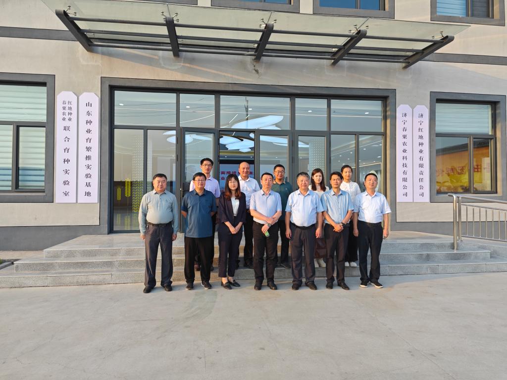 京东影业影视传媒